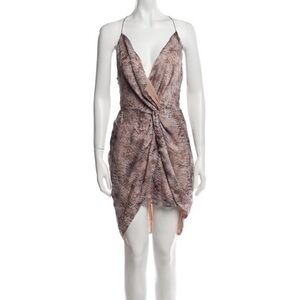 TJD Animal Print Mini Dress